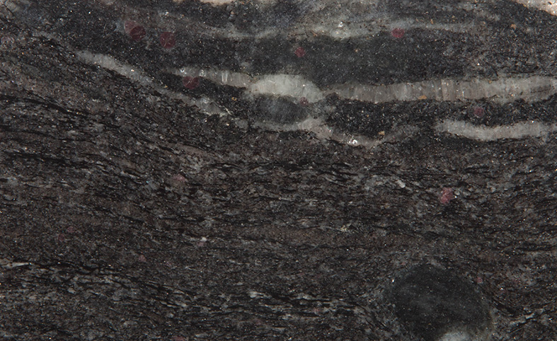 SRI1000_POLISHED-1.jpg