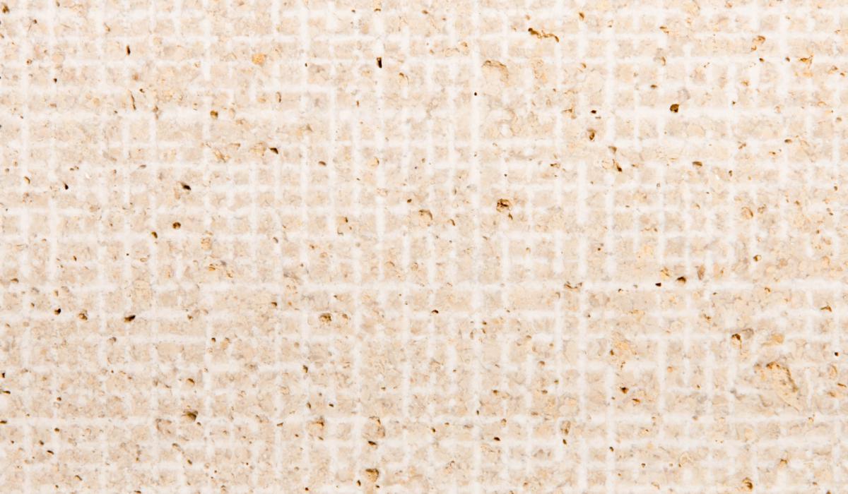 SRI130_CANVAS-[full].jpg