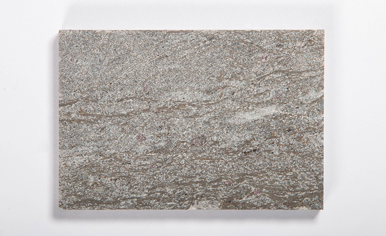 SRI1000_GROUND-2.jpg