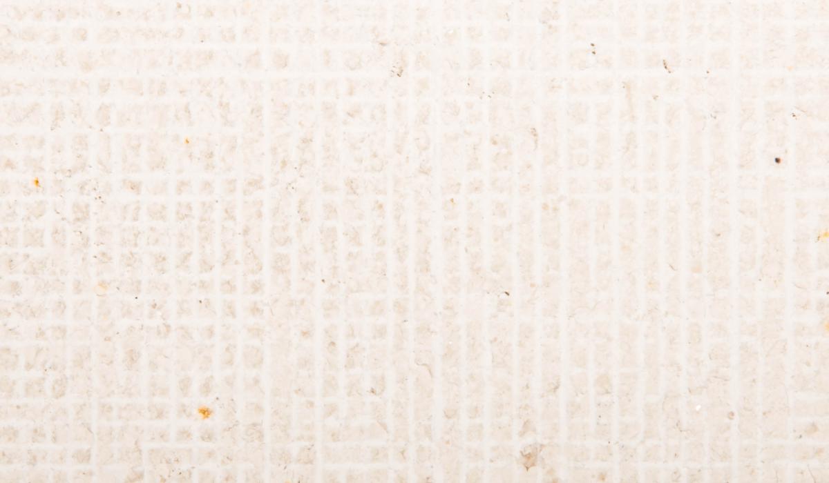 SRI118_CANVAS-[extra, fullsize].jpg